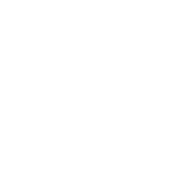 White icon training
