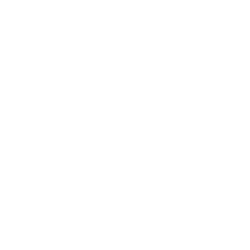 White Icon skinny